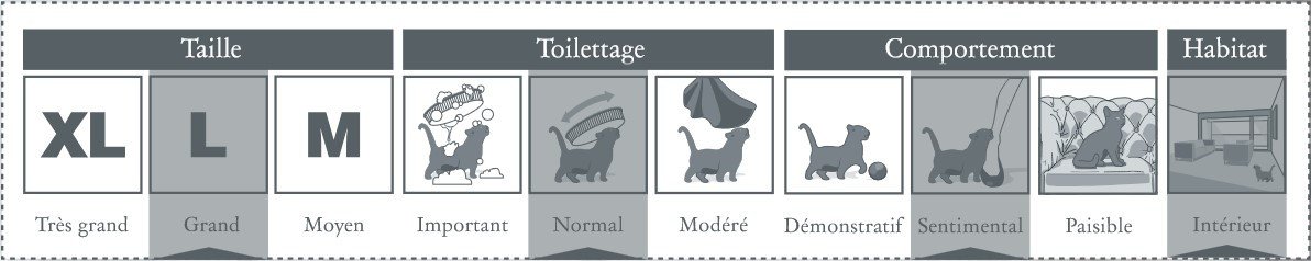 loof norvégien caractéristiques