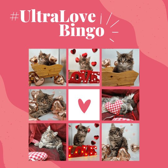 #Ultra Love Bingo