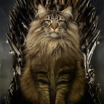 526450089_1260502159206718_2868066351034612139_n