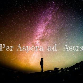 Portée Tsahìk ❤ Kiron 2025