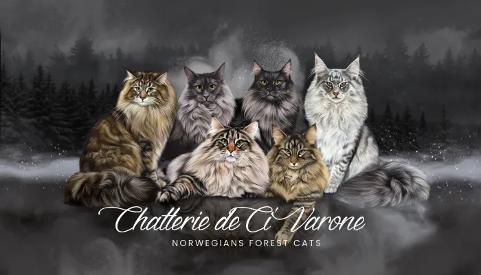 Chatterie de Ci'Varone